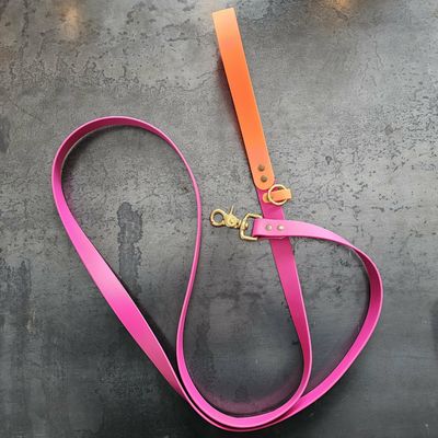 Laisse artisanale en BioThane® – 6,5 pieds  Fabrication québécoise