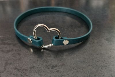 Porte-médaille pour chien en BioThane® – 16 1/4 pouces