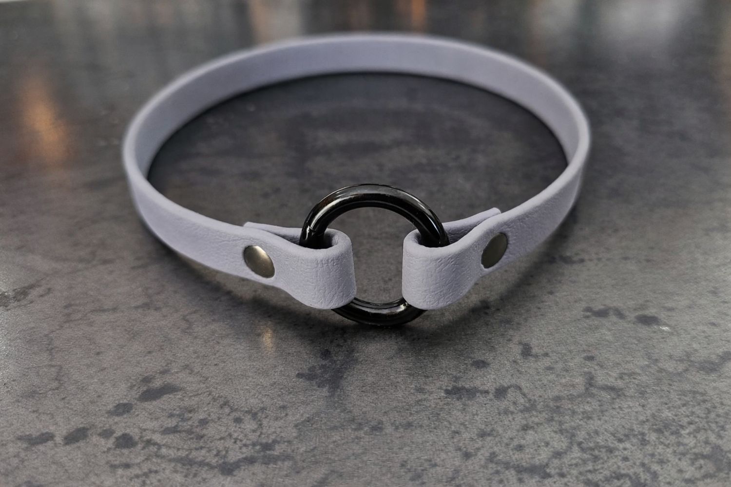 Porte-médaille pour chien en BioThane® – 16 3/4 pouces