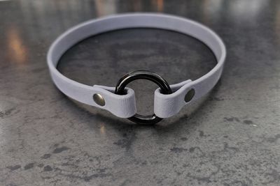 Porte-médaille pour chien en BioThane® – 16 3/4 pouces