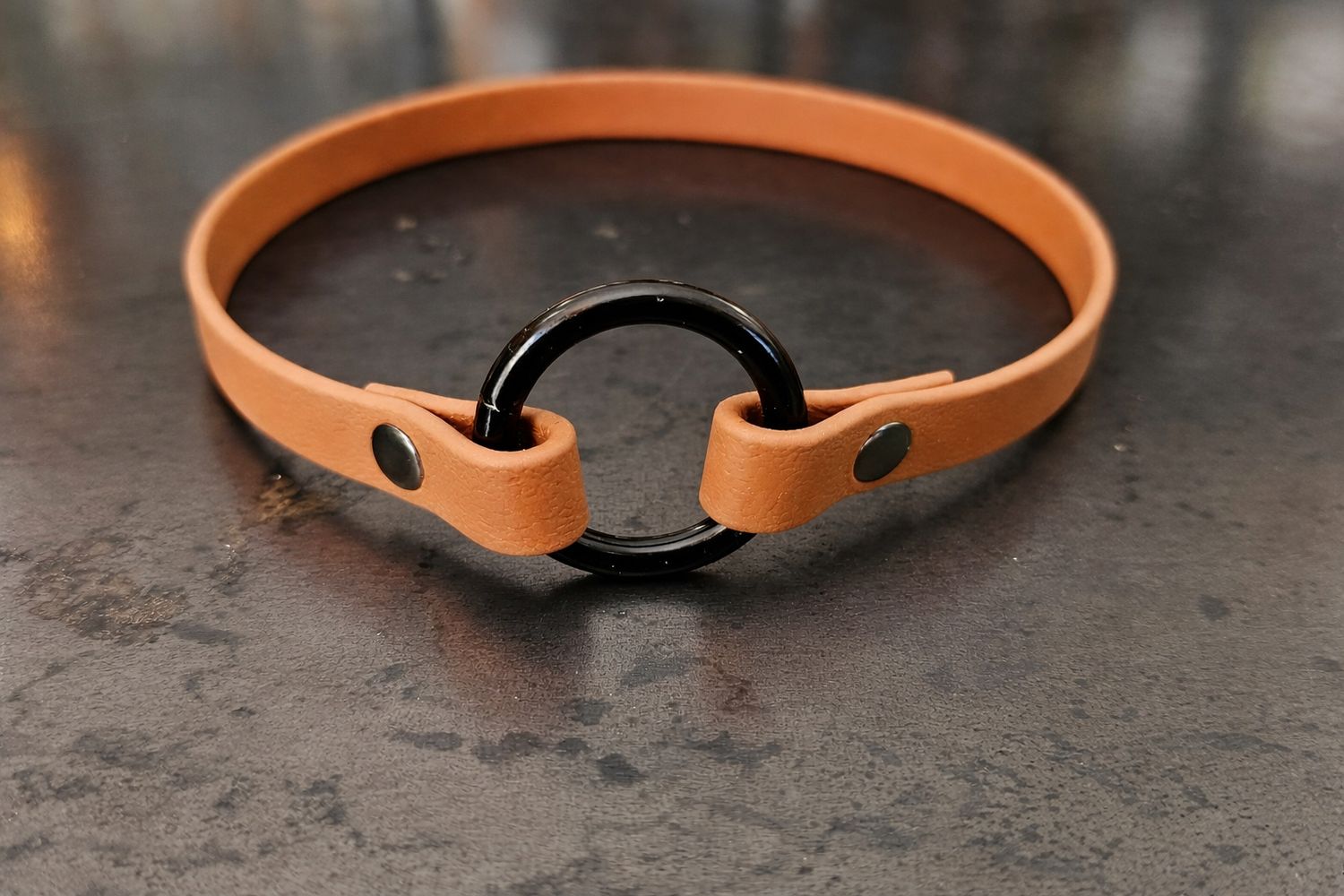 Porte-médaille pour chien en BioThane® – 17 pouces