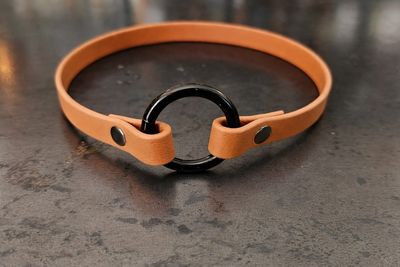 Porte-médaille pour chien en BioThane® – 17 pouces