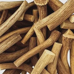 Corne de cerf rouge naturelle