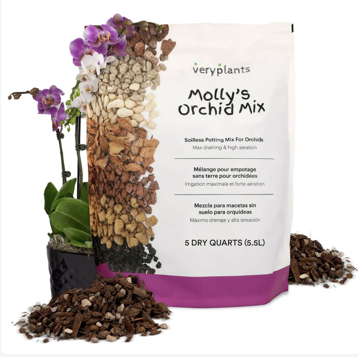 Molly's mix Orchidée
