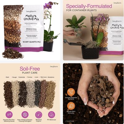 Mélange Molly’s pour orchidées