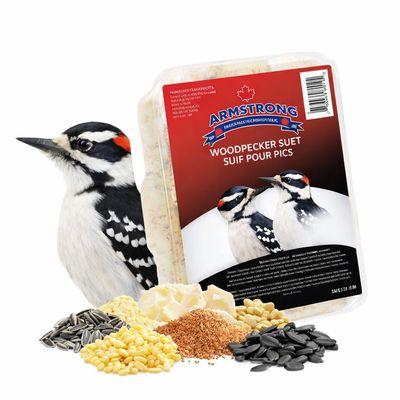 Suif pour pics – Armstrong