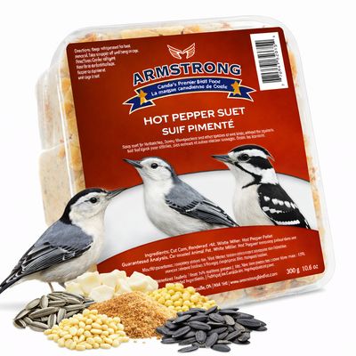 Suif Pimenté – Armstrong