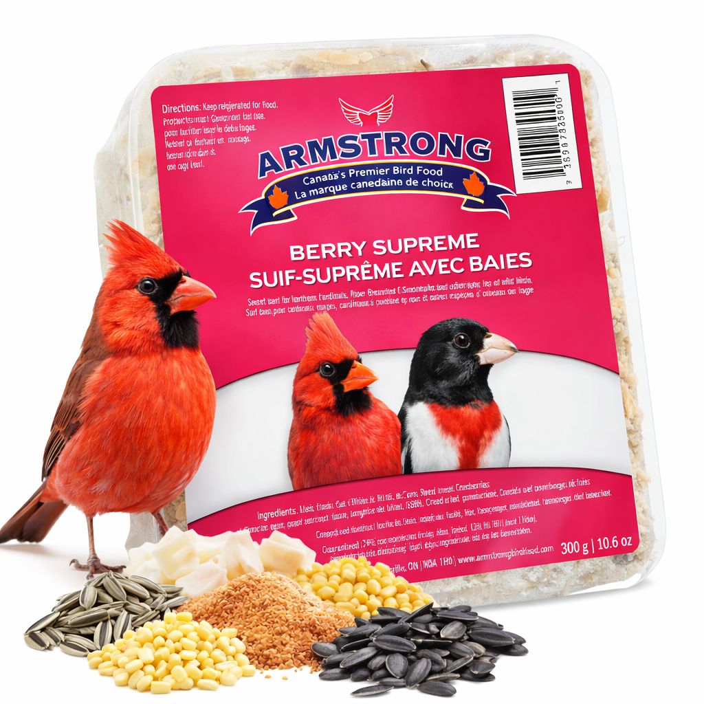 Suif Suprême aux Baies – Armstrong