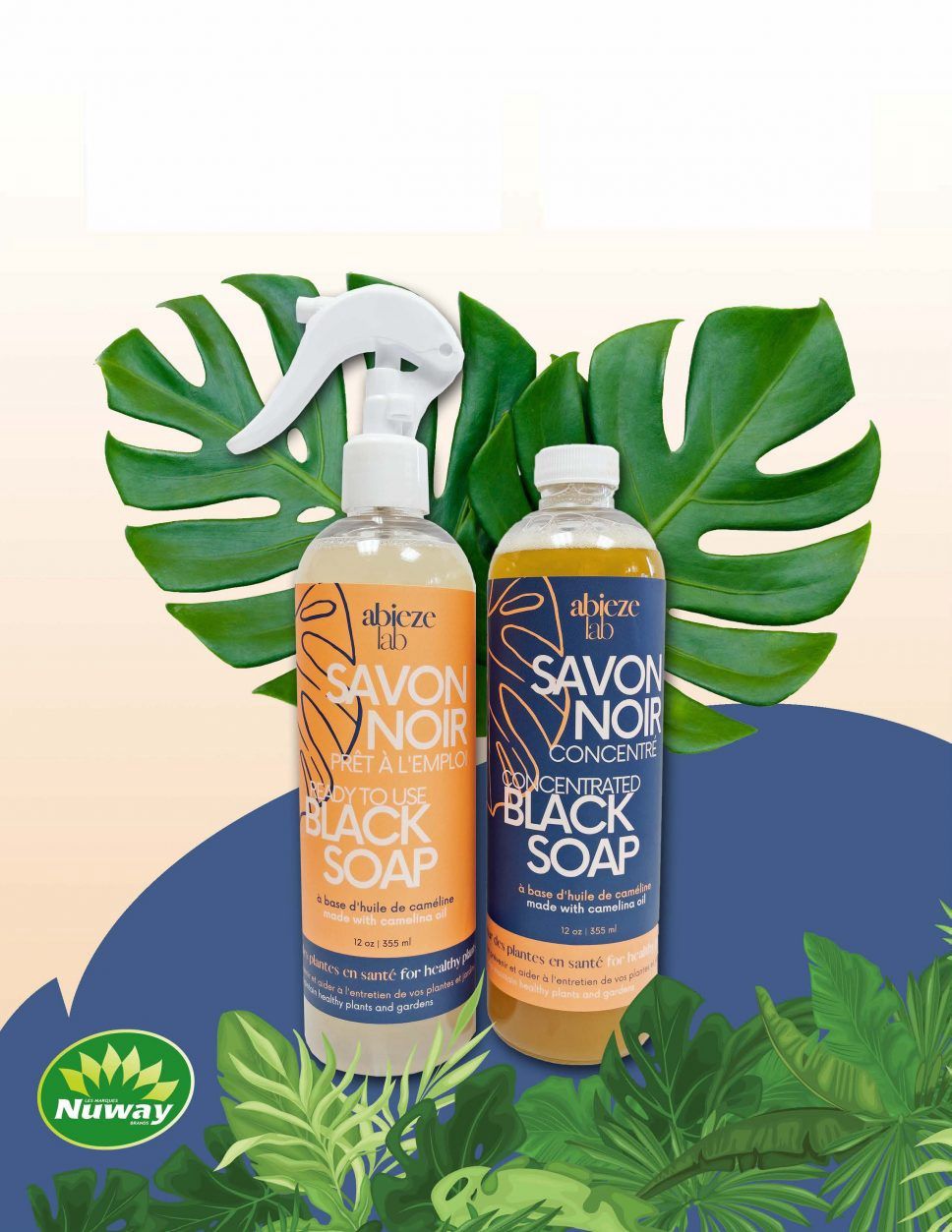 Savon noir québécois – Prêt à l’emploi &amp; concentré