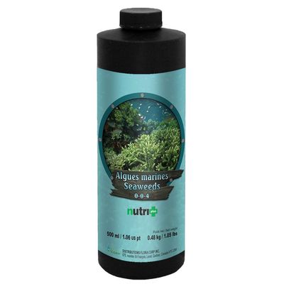 Algue Marine Nutri+