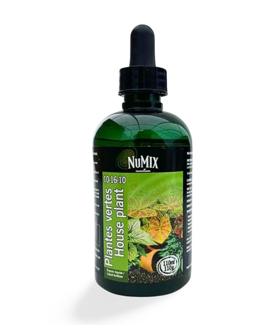 NuMix – Engrais liquide pour plantes vertes 10-16-10