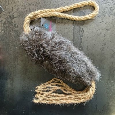 La traque forestière