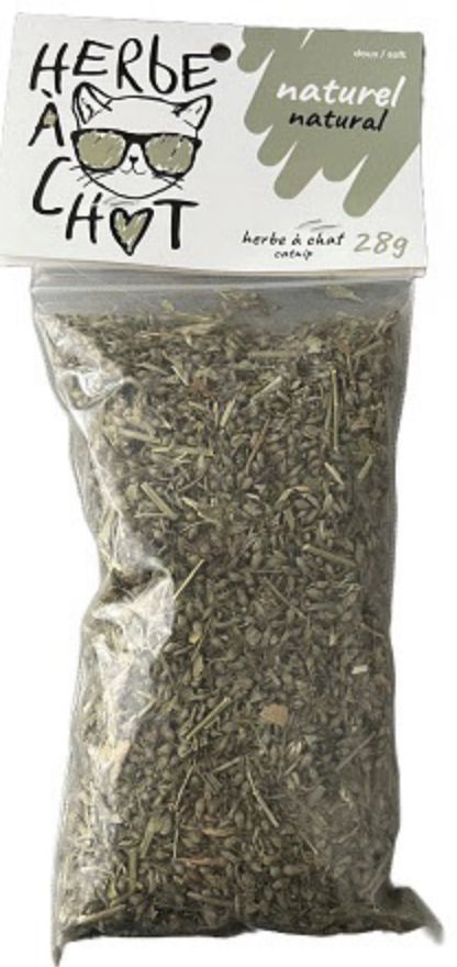 herbe a chat 48 g