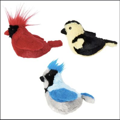 Oiseaux chanteurs avec herbe à chat