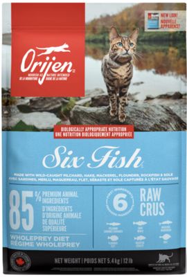 Chat Six Fish