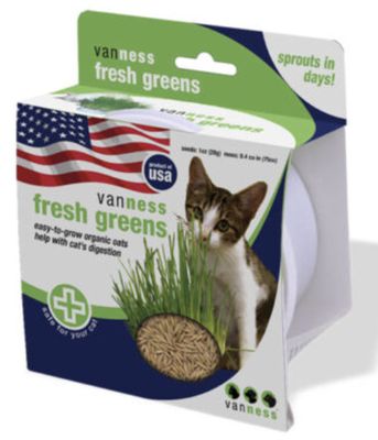 Jardin d’avoine pour chat