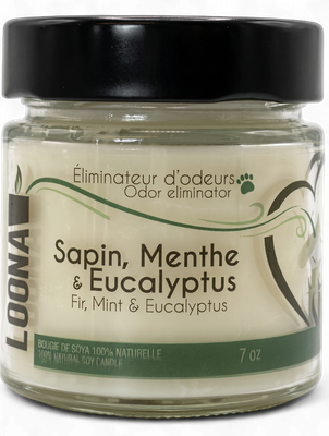 Chandelle LOONA – Sapin, menthe et eucalyptus 7 oz