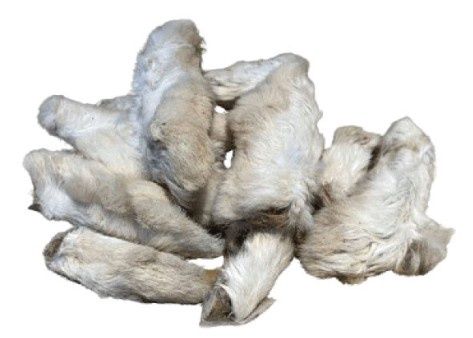 Patte de Lapin avec poils – Vrac