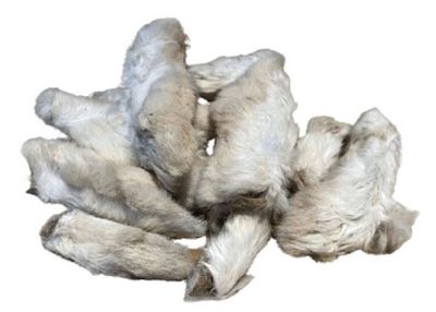 Patte de Lapin avec poils – Vrac