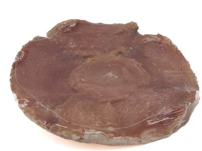 disque de proteine au boeuf