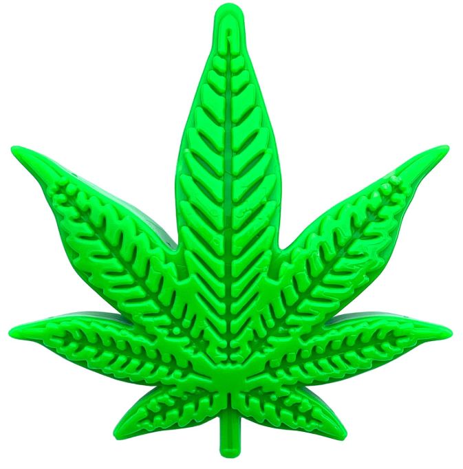 feuille de Colorado maple