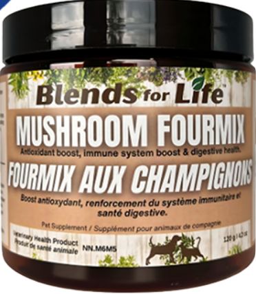 Blends for Life – Mushroom Fourmix pour chiens et chats – 120 g