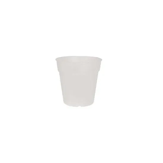 Artevasi Capri – Cache-pot transparent pour orchidées – 12,5 cm