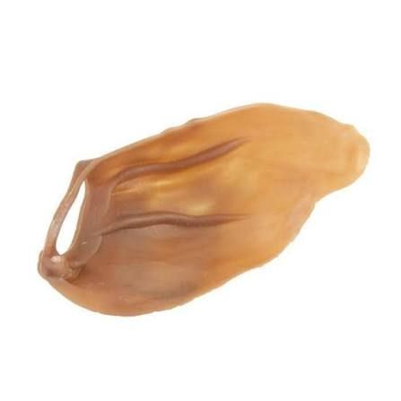 WHIMZEES Veggie Ear – Gâterie dentaire pour chien