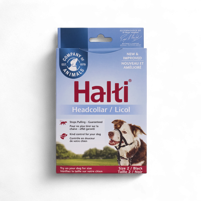 HALTI – Licou noir pour chien, grandeur 2