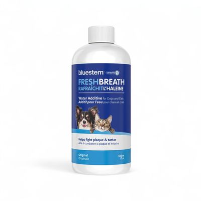 bluestem™ – Additif pour l’eau de soins buccodentaires avec coactiv+™ pour chien et chat – Original sans saveur – 500 ml