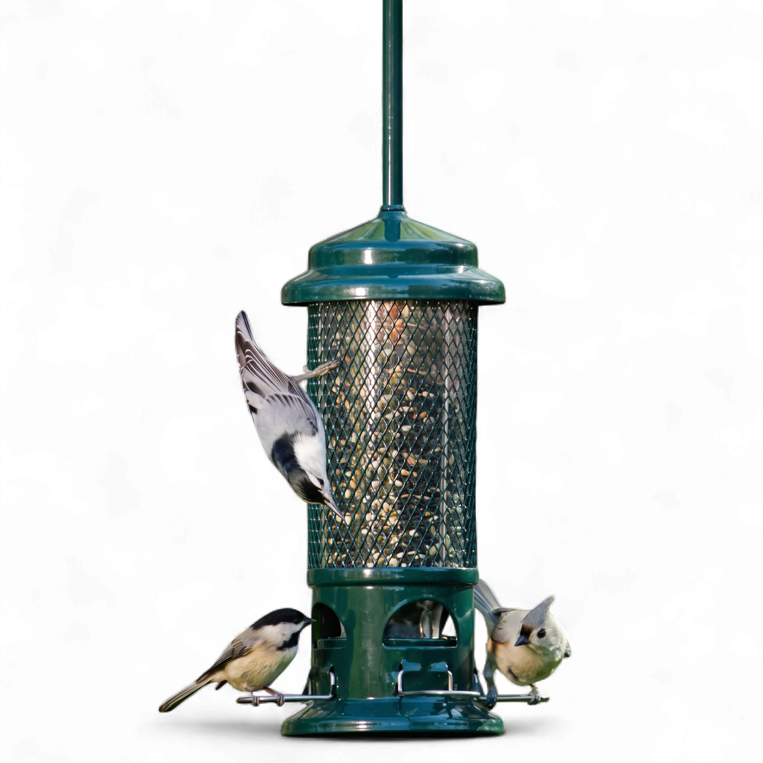 Squirrel Buster® Mini – Mangeoire anti-écureuils pour oiseaux sauvages