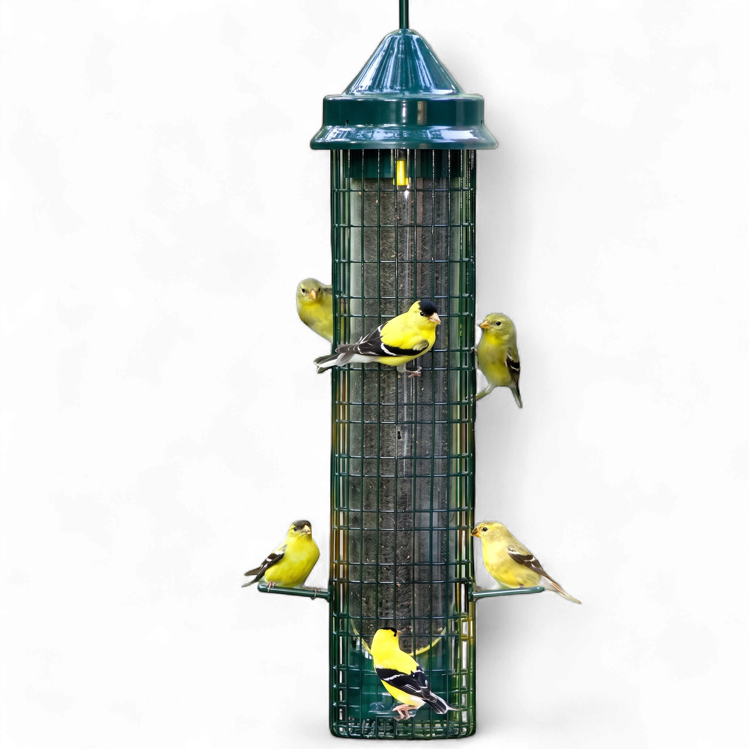 Squirrel Buster® Finch – Mangeoire anti-écureuils pour oiseaux sauvages