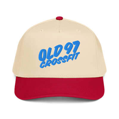 Snapback Baseball Hat