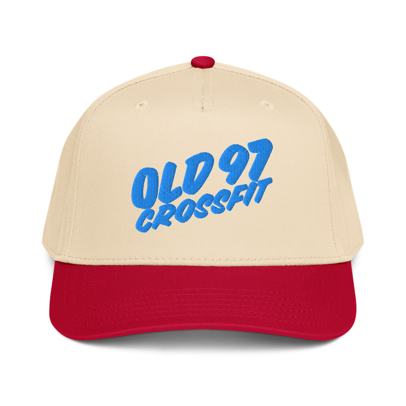 Snapback Baseball Hat