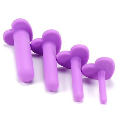 Wellness 4-Piece Dilator Kit