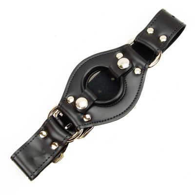 Face and Thigh Harness