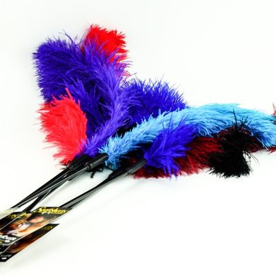Ostrich Feather Tickler