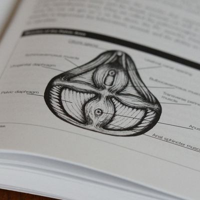 Female Ejaculation and the G-Spot (2nd edition)