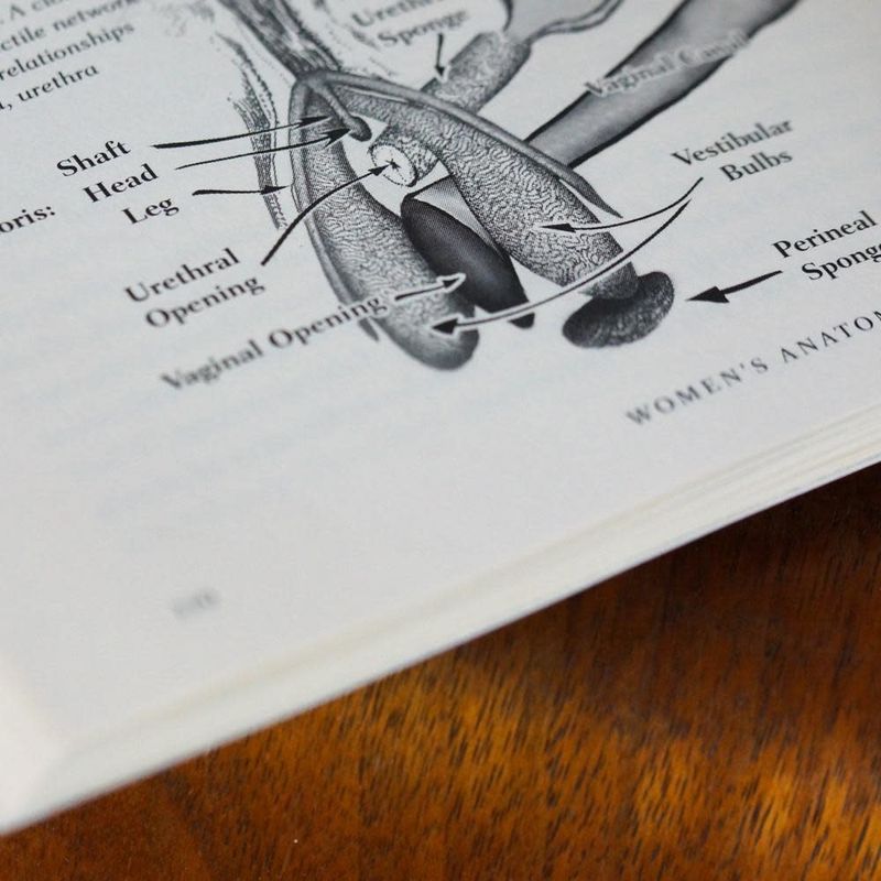 She Comes First: The Thinking Man's Guide to Pleasuring a Woman