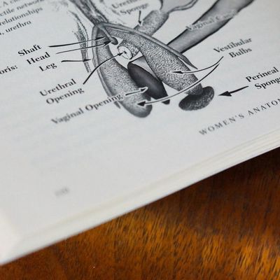 She Comes First: The Thinking Man's Guide to Pleasuring a Woman