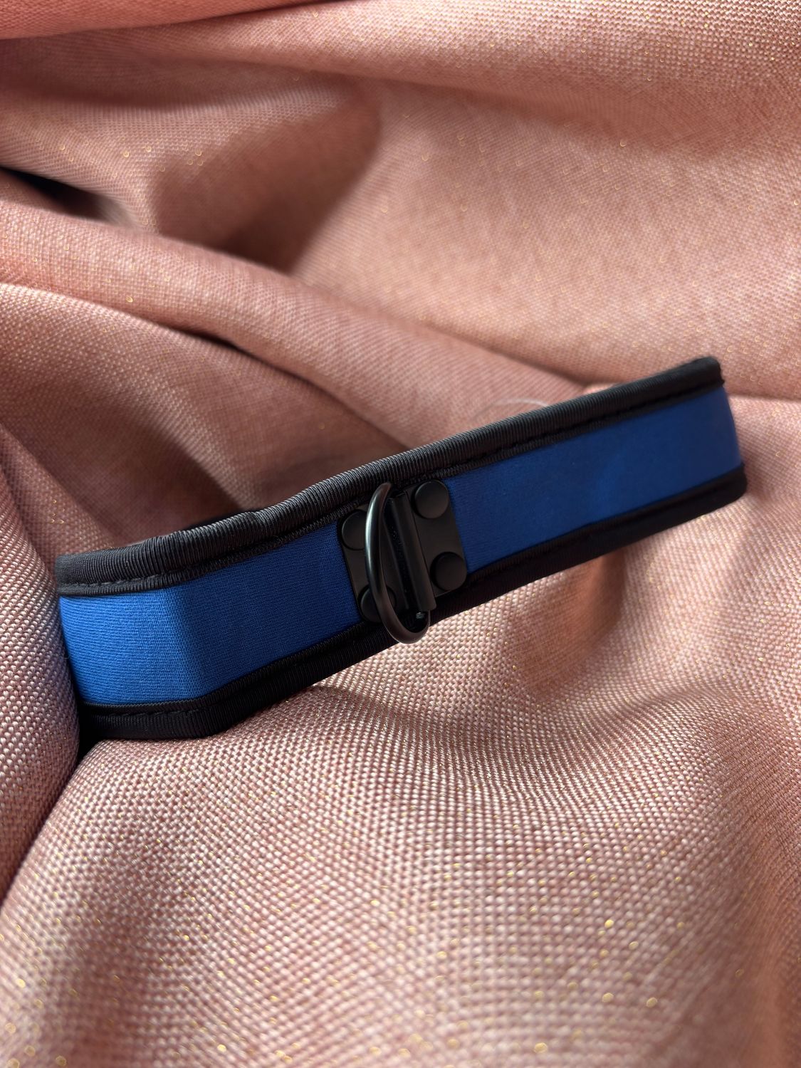 Neoprene Puppy Collar