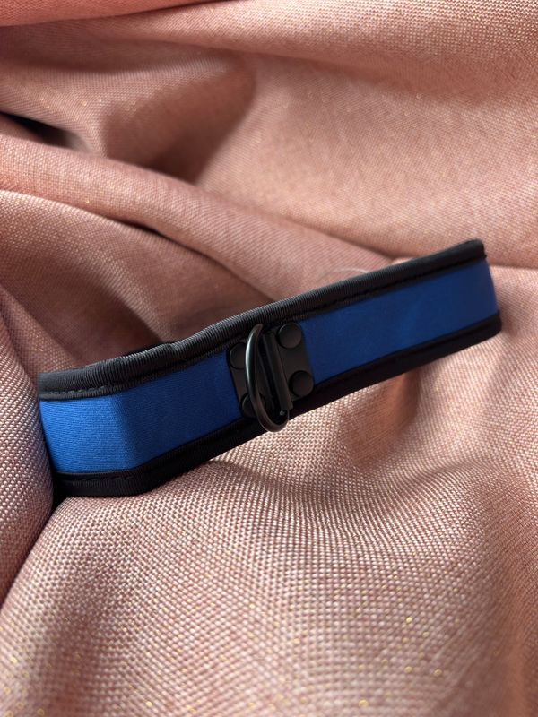 Neoprene Puppy Collar