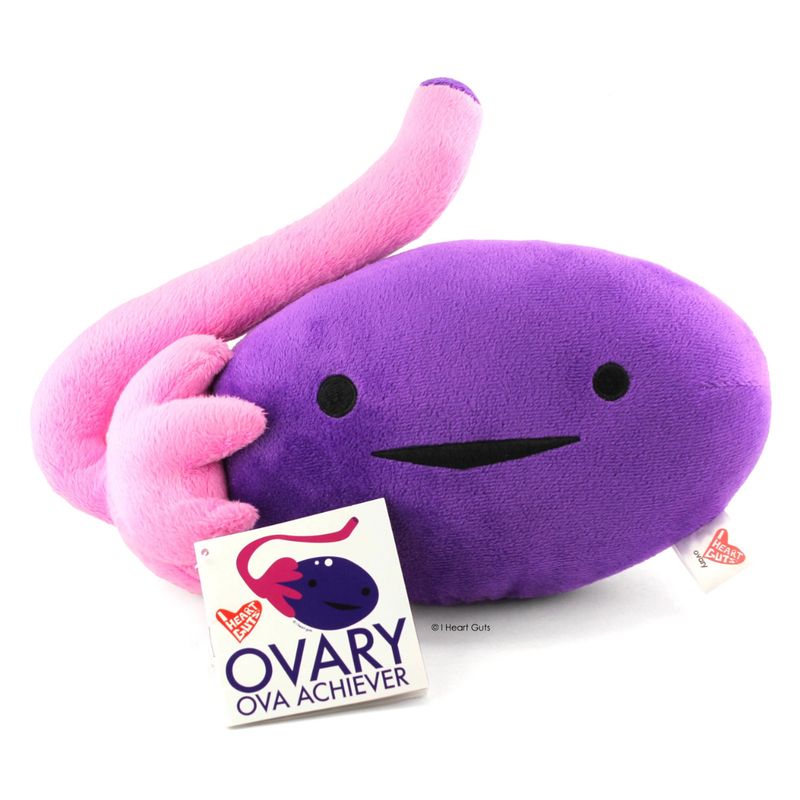 I Heart Guts Anatomy Plushies