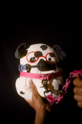 Collars and Leashes