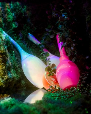 Cleaners &amp; Enemas