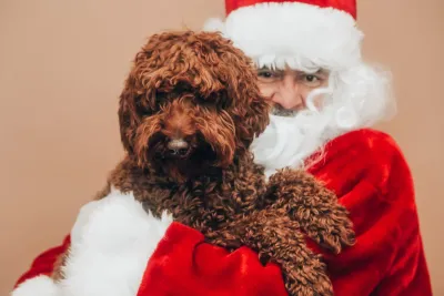 Kerst en Nieuwjaar