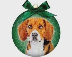 Ornament frosted beagle