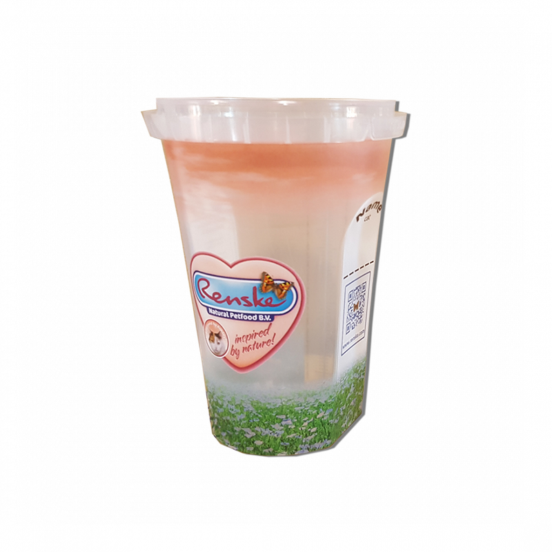 Renske Maatbeker Kat