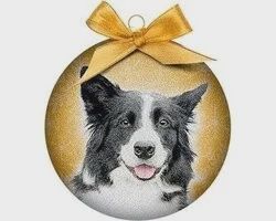 Ornament frosted border collie