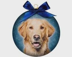 Plenty gifts ornament frosted golden retriever 10,5x4,2x11,5 cm